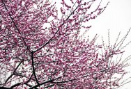������һ����֤���������� ���費��