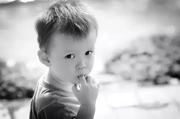 640.webp (10).jpg