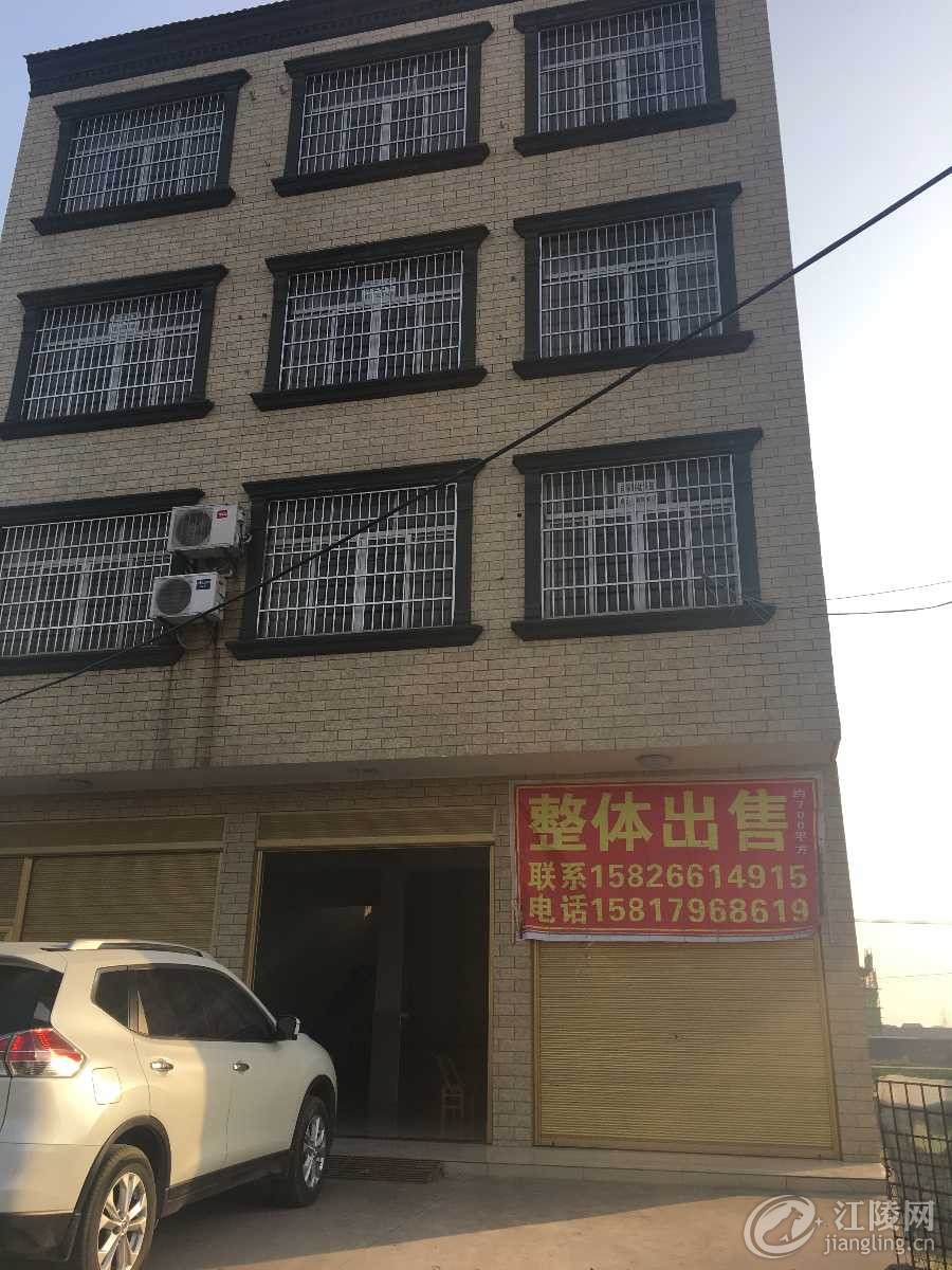 image.jpg