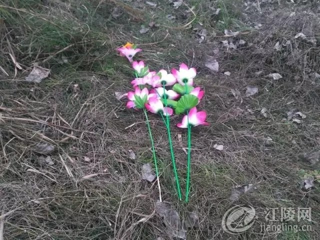 640.webp (33).jpg