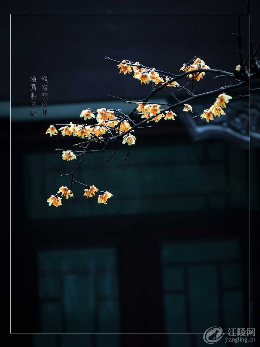 IMG_0685-