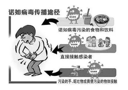640.webp (25).jpg