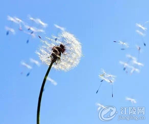 QQ��ͼ20170223145413.jpg