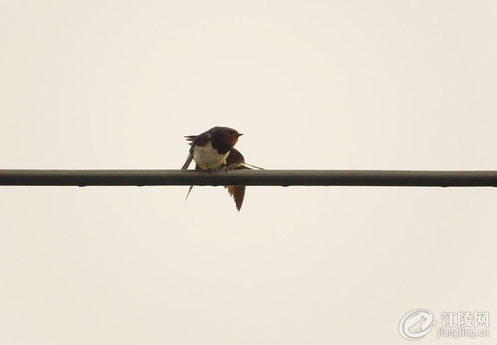 DSC02758.jpg