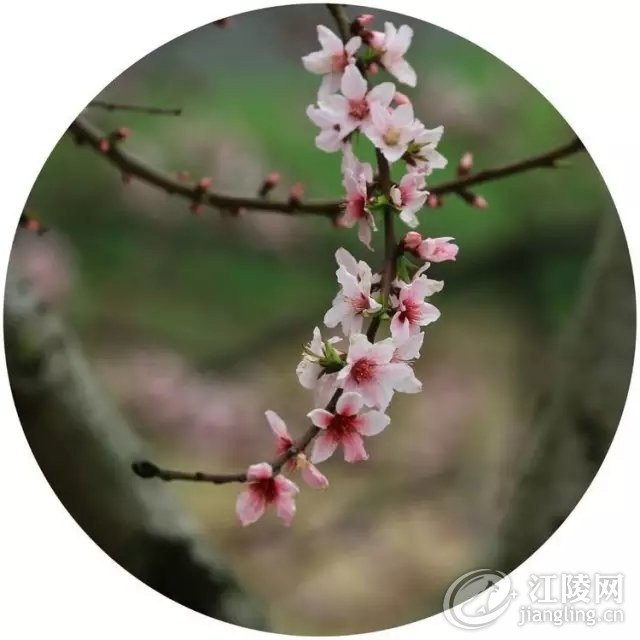 640.webp (17).jpg