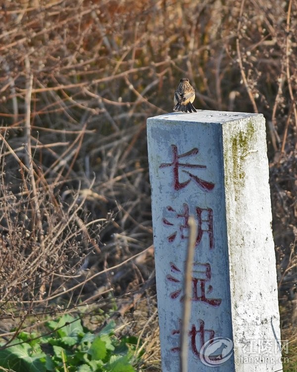 GGP_7920.jpg