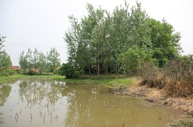 12002407_820134.jpg
