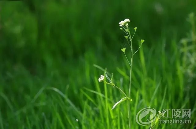 640.webp (16).jpg