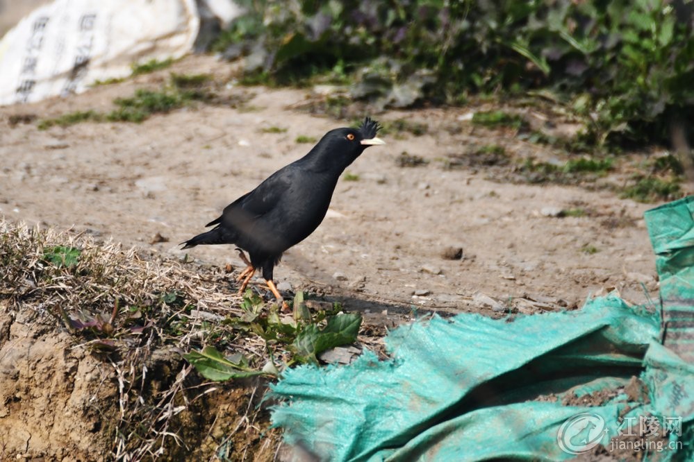 DSC_3497.jpg