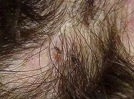 640.webp (6).jpg