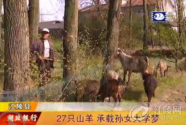 QQ��ͼ20170329112407.jpg