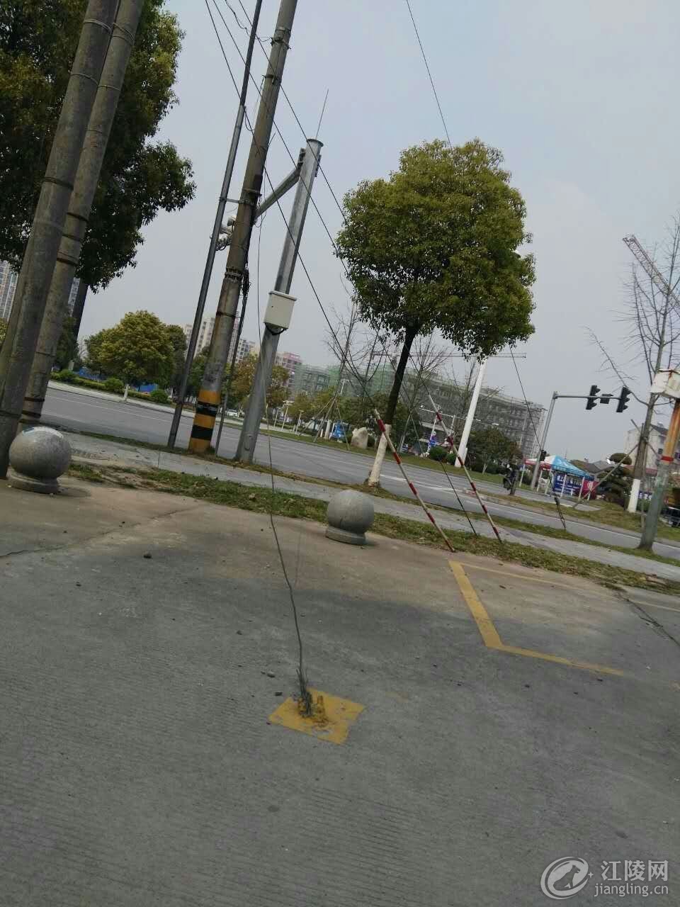 QQͼƬ20170329164906.jpg