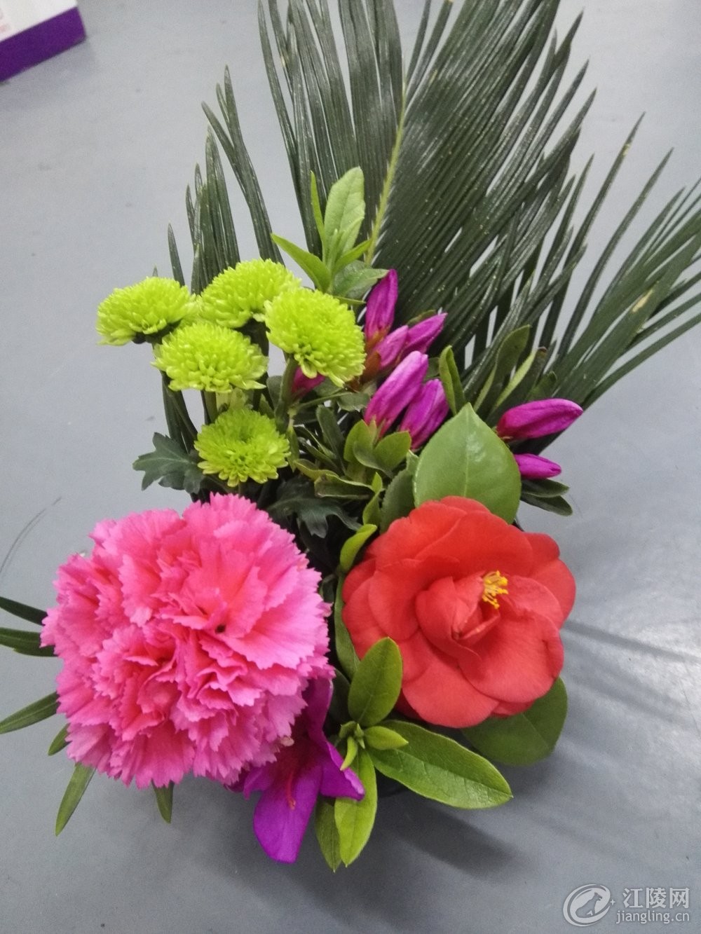 19-1F330113644442.jpg