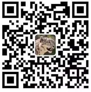 640.webp (9).jpg