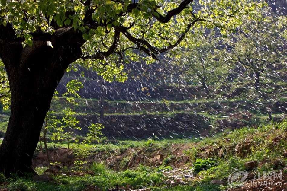1992412133.jpeg