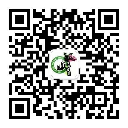 mmexport1492429460159.jpg