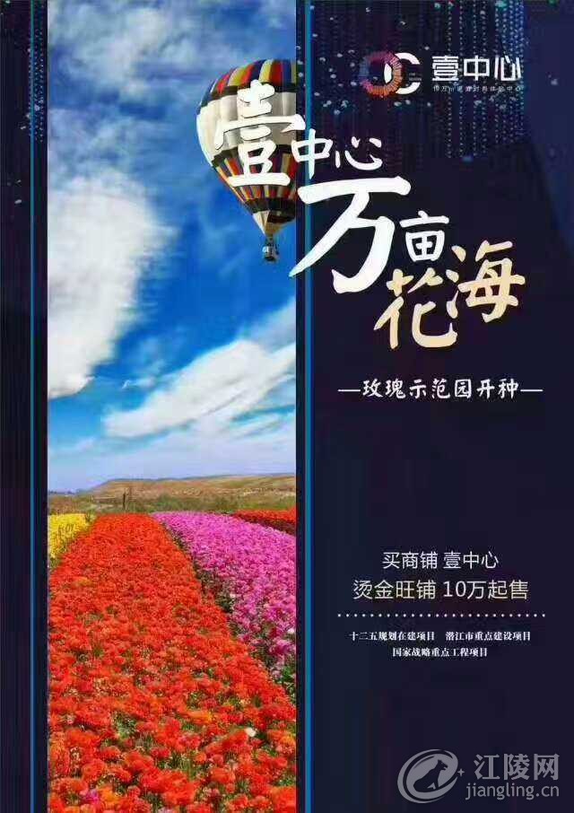 mmexport1491992969317.jpg