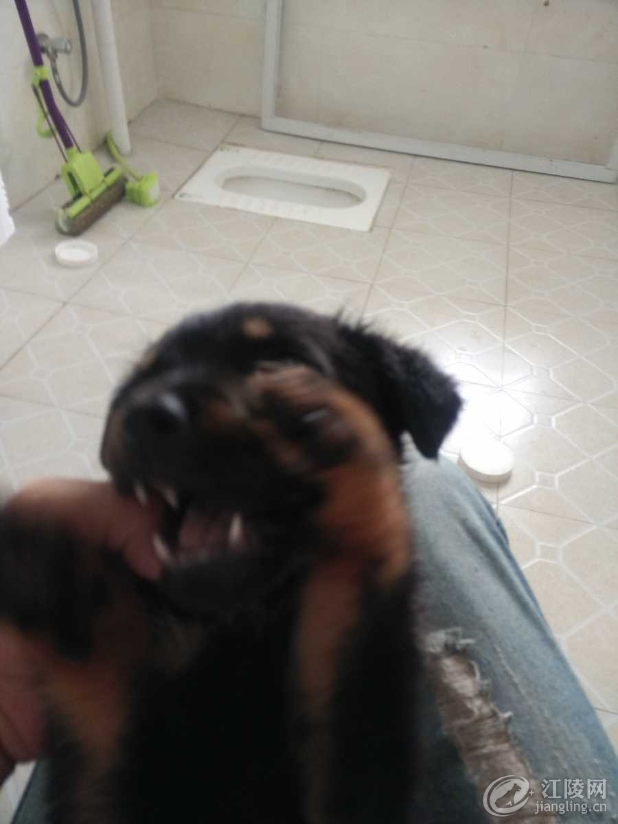 IMG20170502132939.jpg