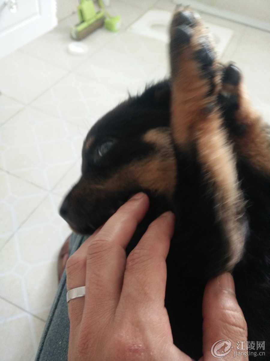IMG20170502132900.jpg