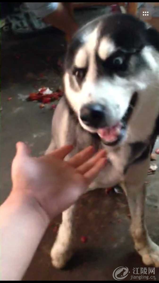 image.jpg