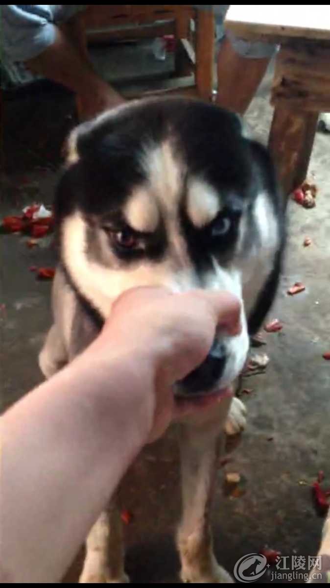 image.jpg