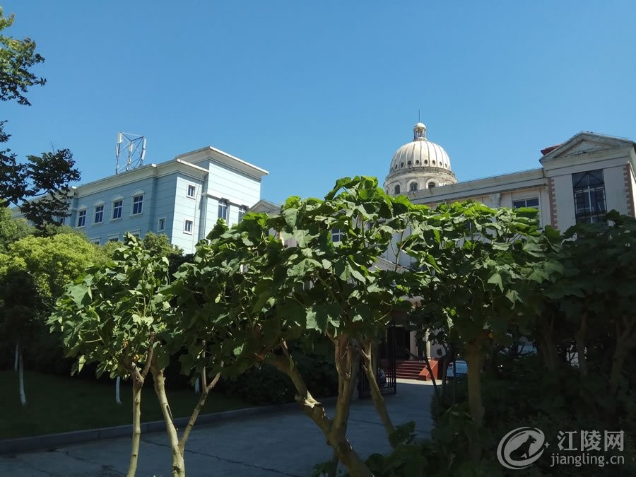 IMG_20170513_142247.jpg