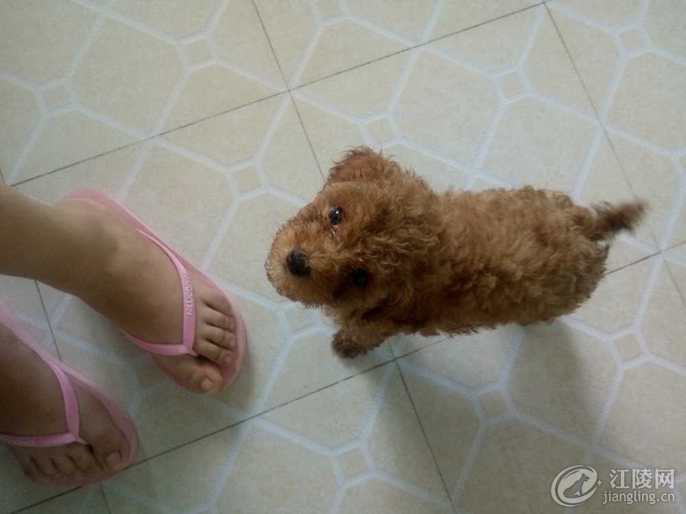 IMG20170522152839.jpg