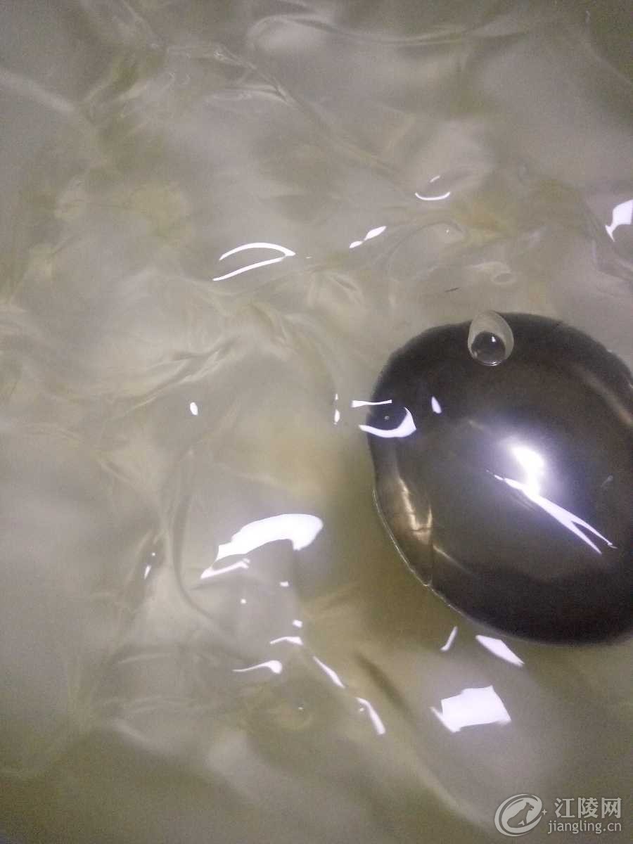 IMG20170607193725.jpg