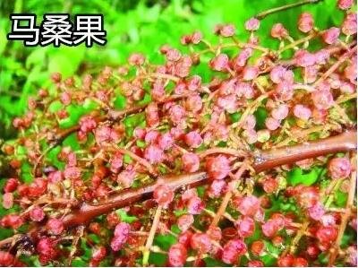 QQ��ͼ20170614154246.jpg