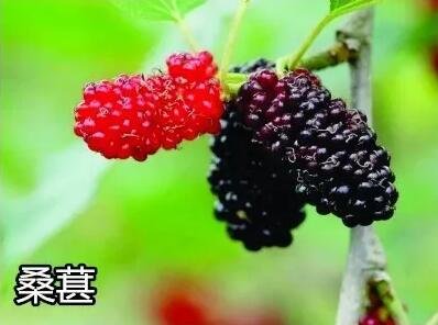 QQ��ͼ20170614154212.jpg