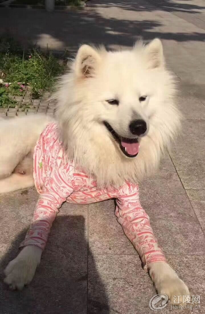 QQͼƬ20170615160855.jpg