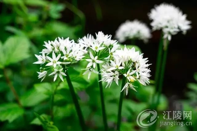 640.webp (10).jpg