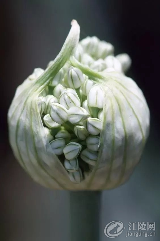 640.webp (13).jpg