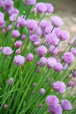 640.webp (14).jpg
