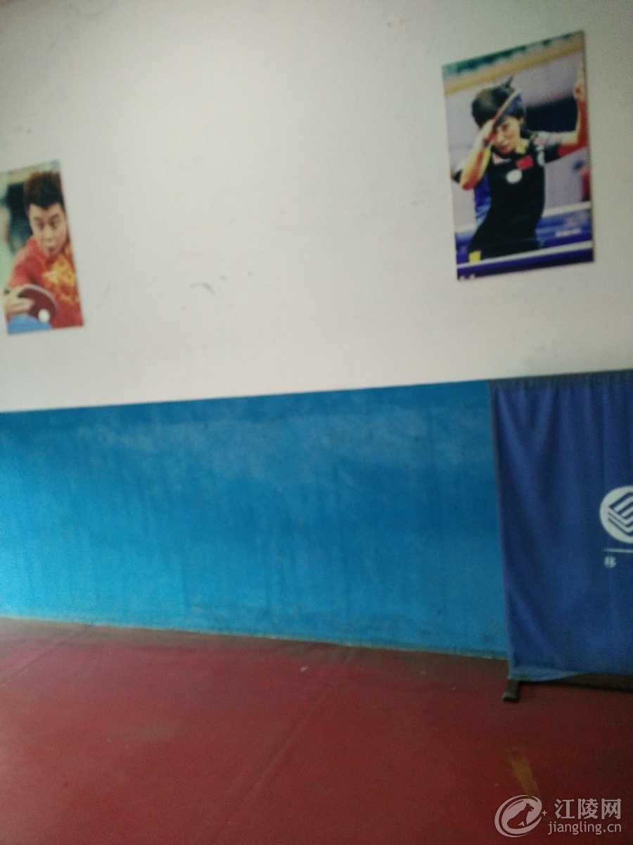 IMG20160711075449.jpg
