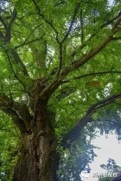 0.webp (37).jpg