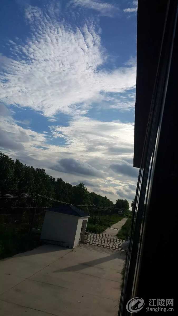 870048465.jpeg
