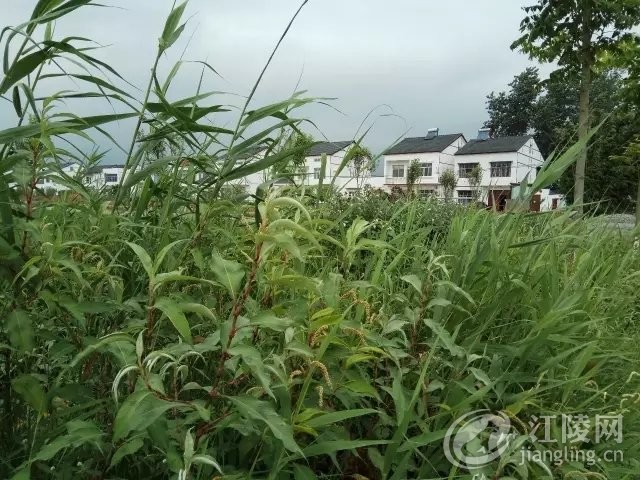 640.webp.jpg
