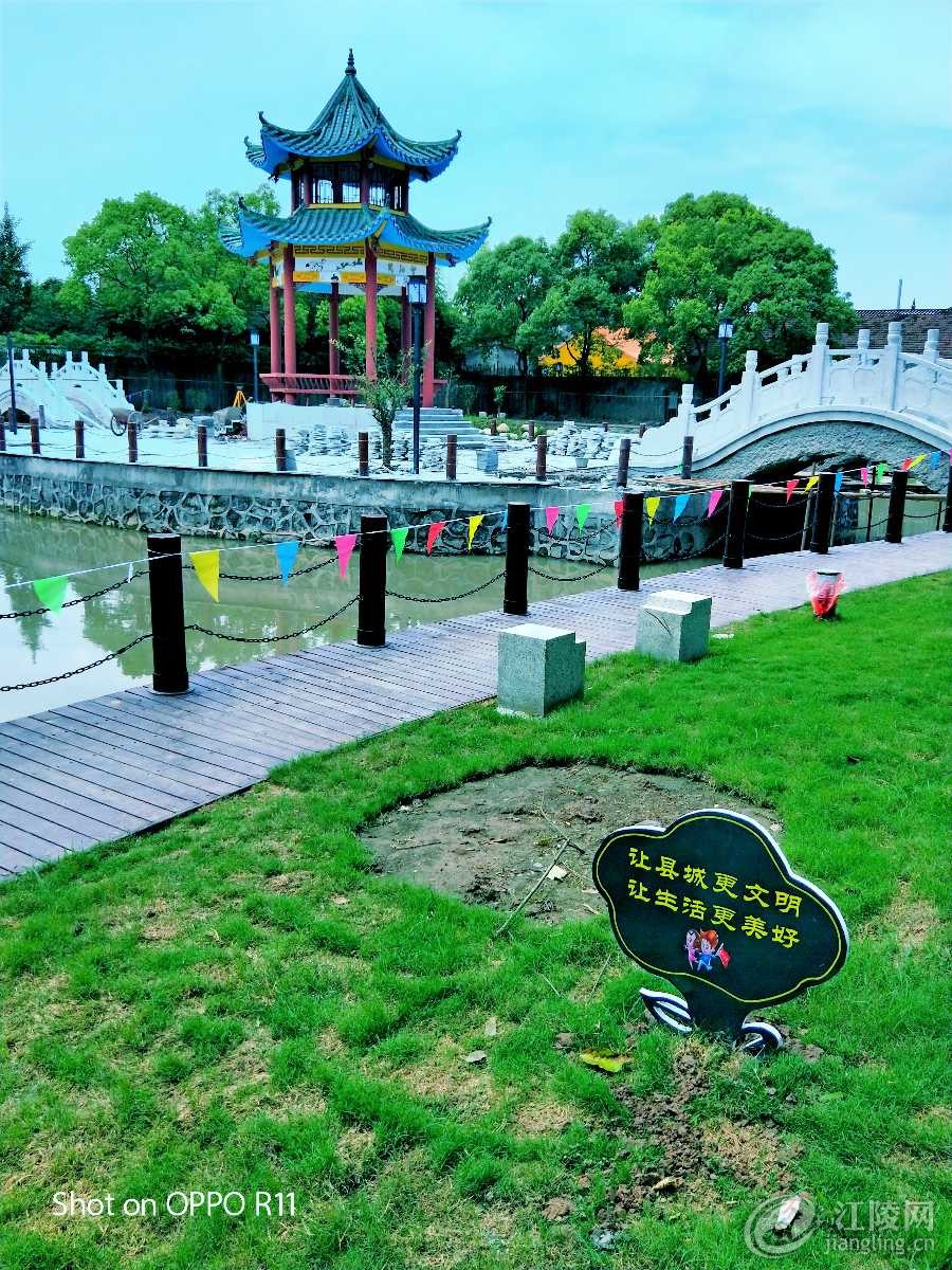 IMG20170710122229_mix01.jpg