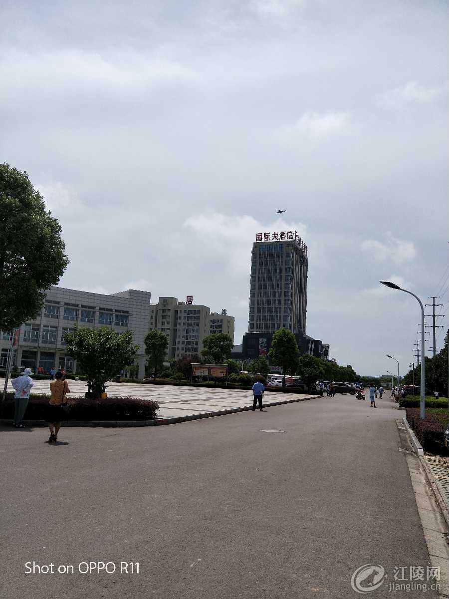 IMG20170710110257.jpg