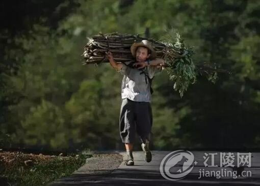 QQ��ͼ20170714100454.jpg