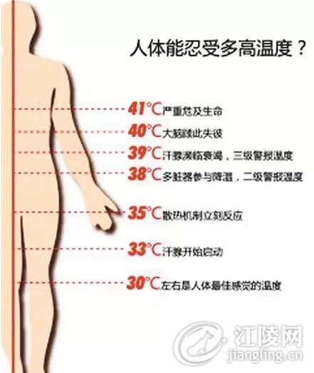 640.webp (10).jpg