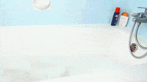 0 (2).gif
