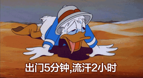 0 (3).gif