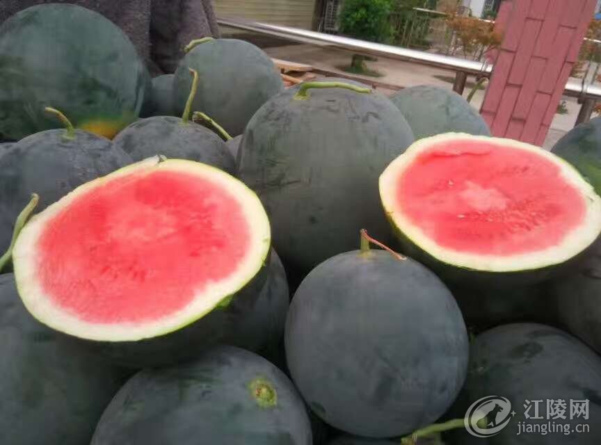 QQͼƬ20170729204211.jpg