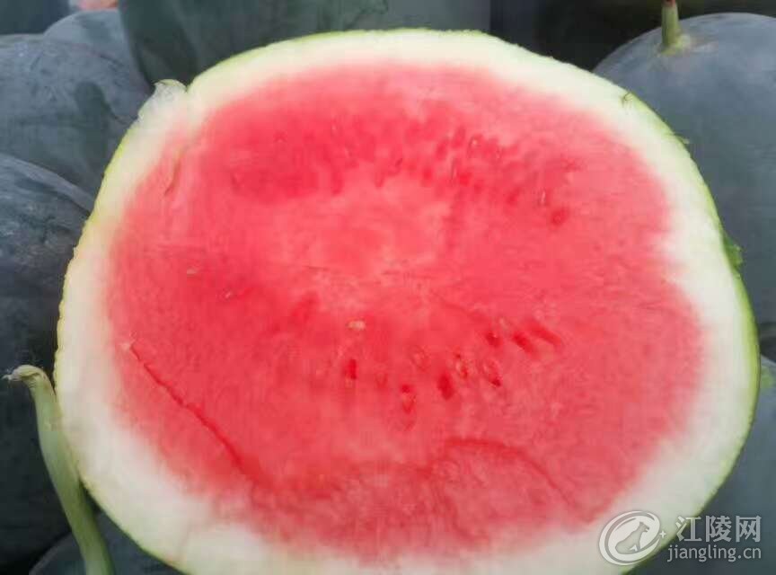 QQͼƬ20170729204216.jpg
