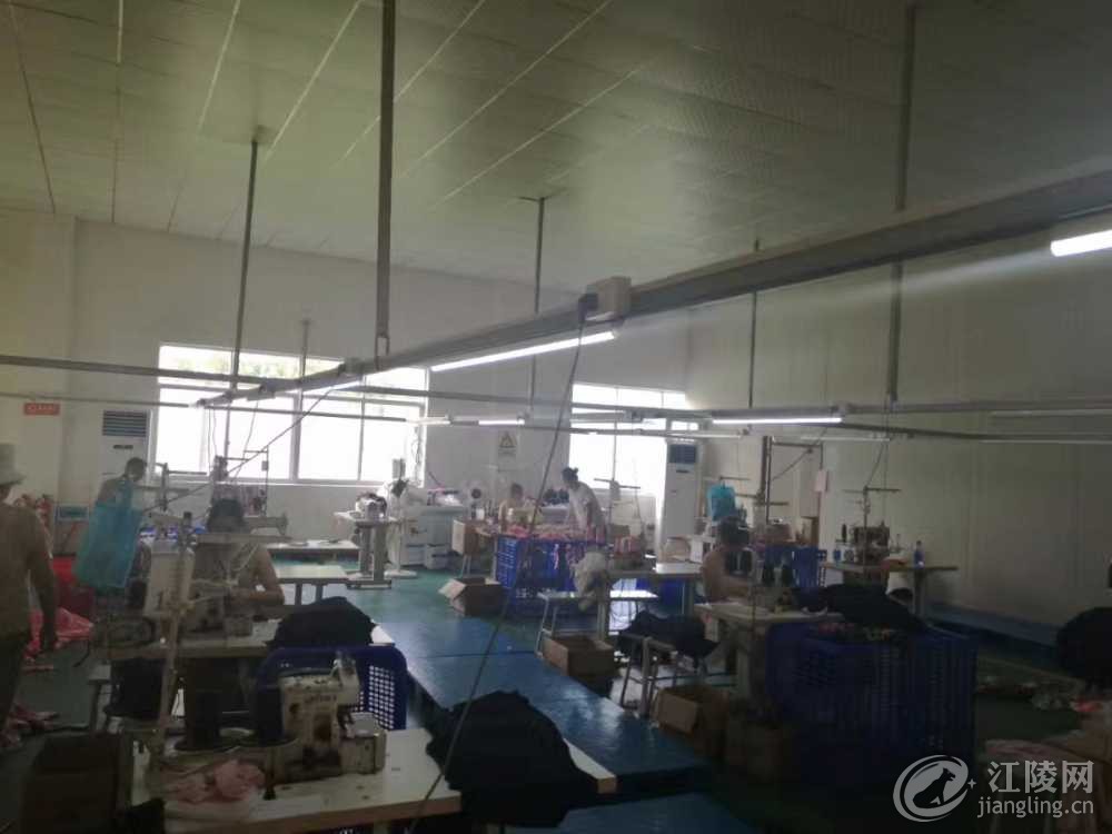 mmexport1502239899846.jpg