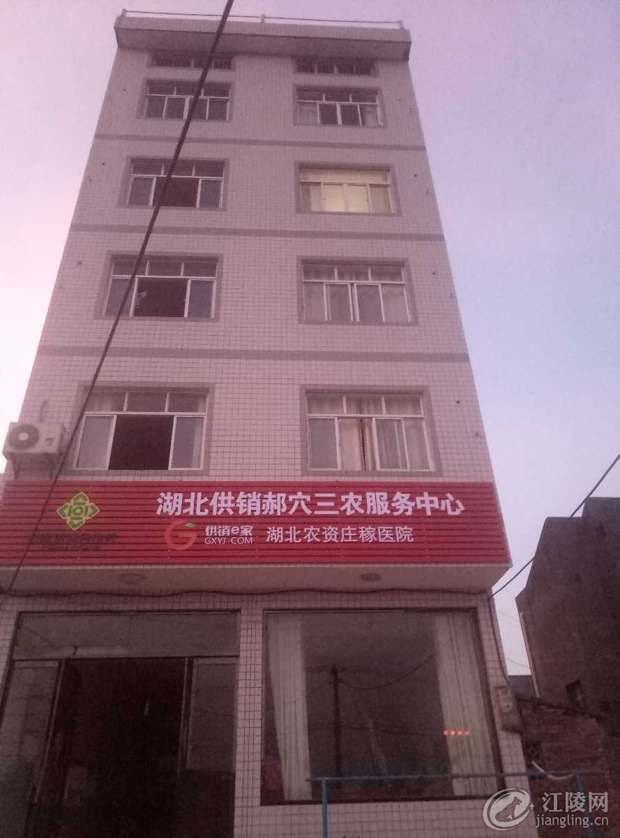 P70727-194002.jpg