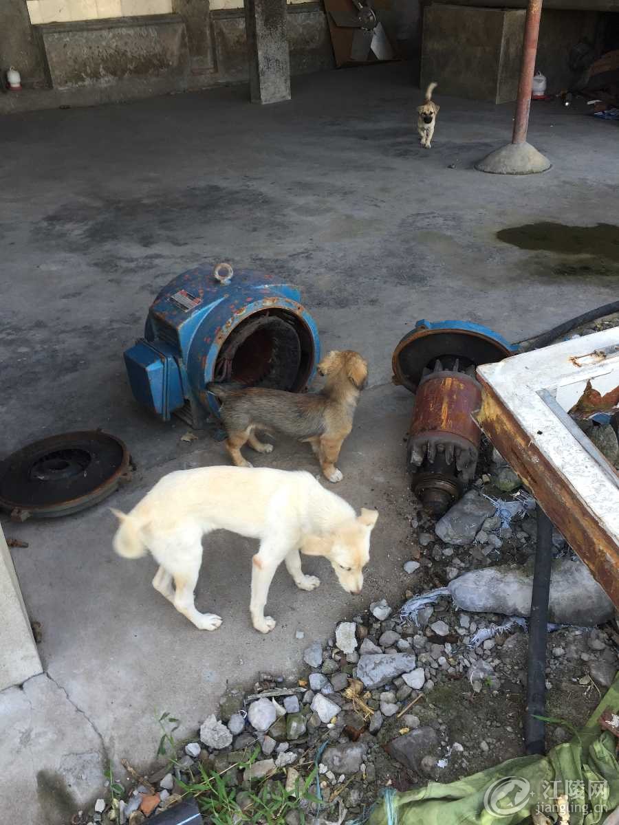 image.jpeg