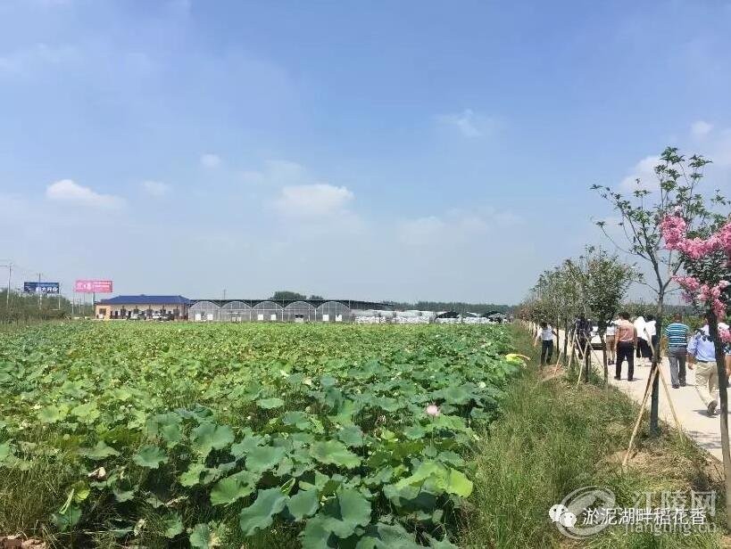QQ��ͼ20170914162104.jpg